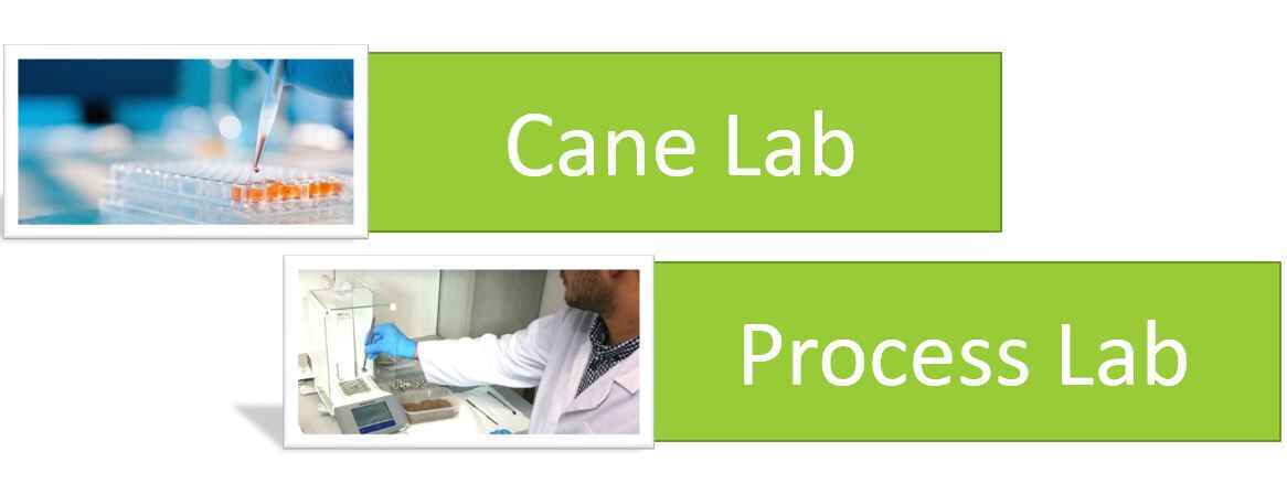 ERP Software company Pakistan